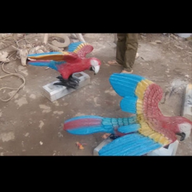 mô hình composite_ms29